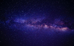 Mobile Phone video games